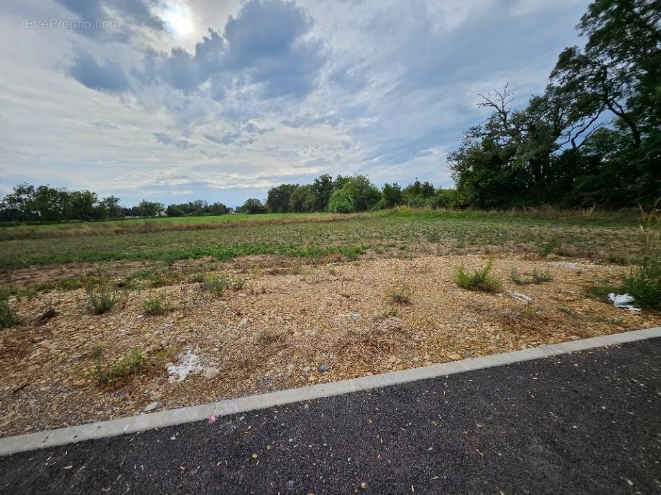 Terrain à SAINT-MARTIN-DE-CRAU