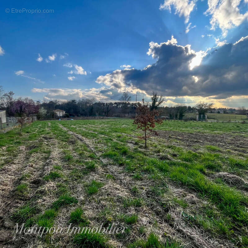 Terrain à MONTPON-MENESTEROL