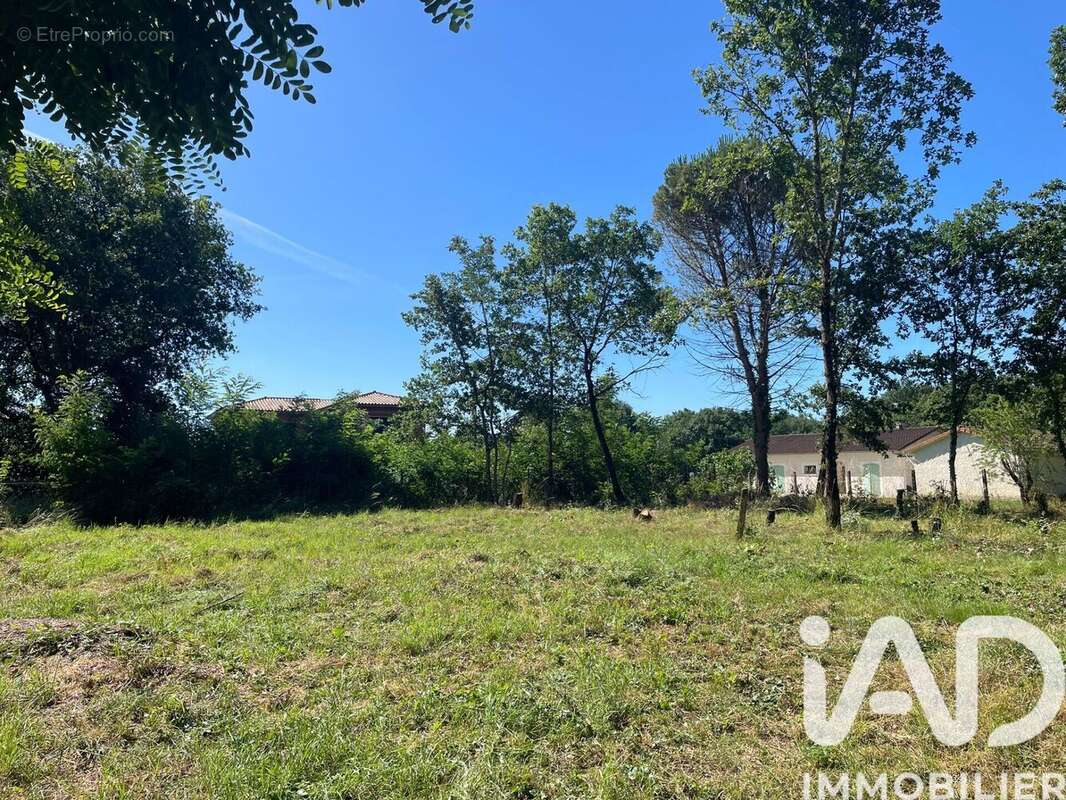 Terrain 3604 m² à Montbartier  - photo 2