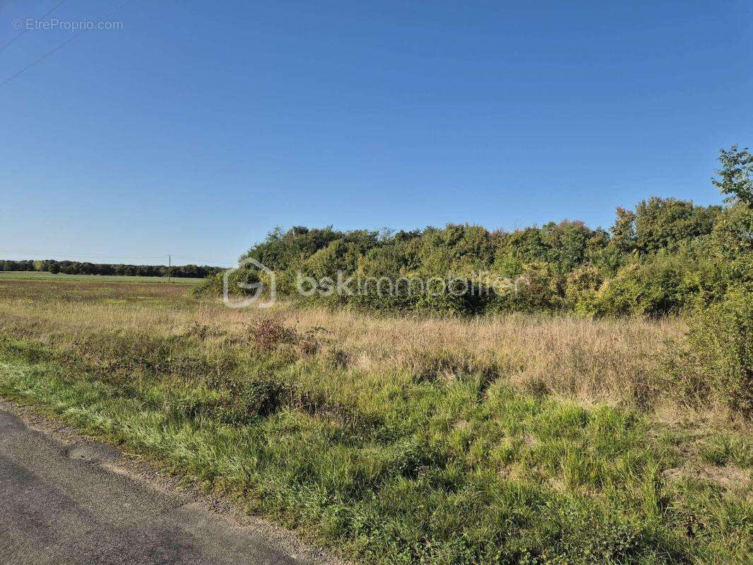 Maison à VILLIERS-AU-BOUIN