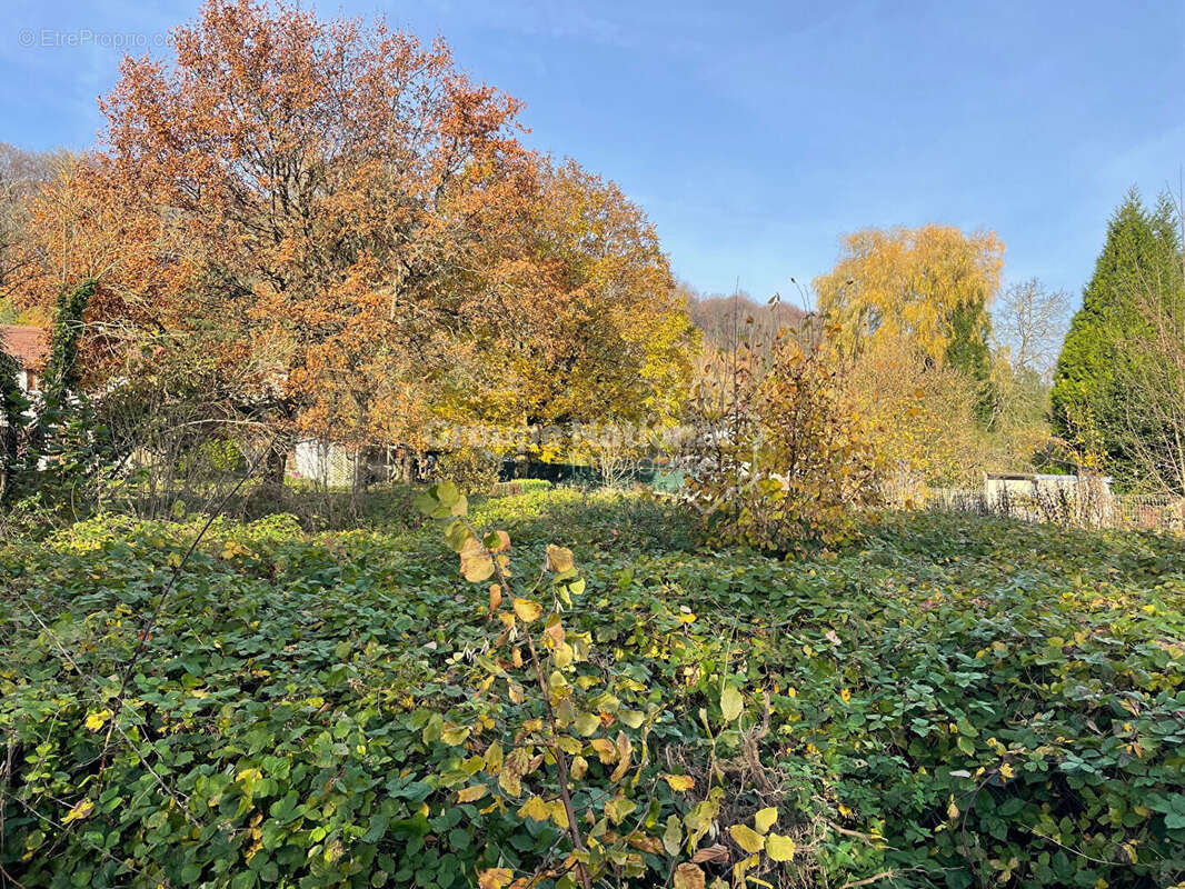 Terrain à TRACY-LE-MONT