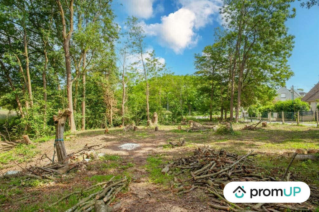 Terrain à NEUILLY-SAINT-FRONT