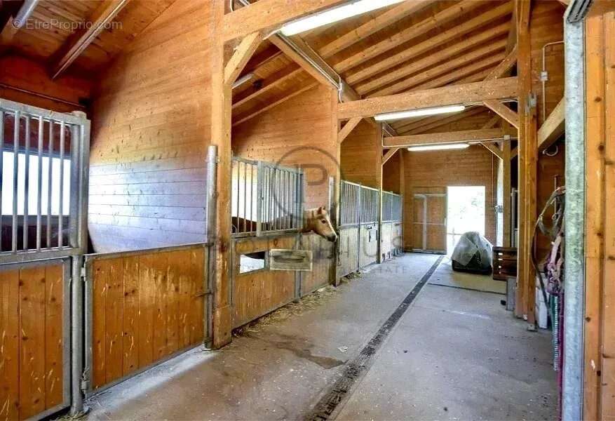 Ancienne ferme historique avec écuries et piscine, à 8 minutes d'Urbino - photo 34