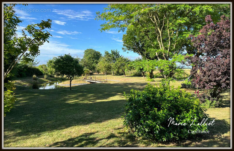 Maison à PITHIVIERS-LE-VIEIL