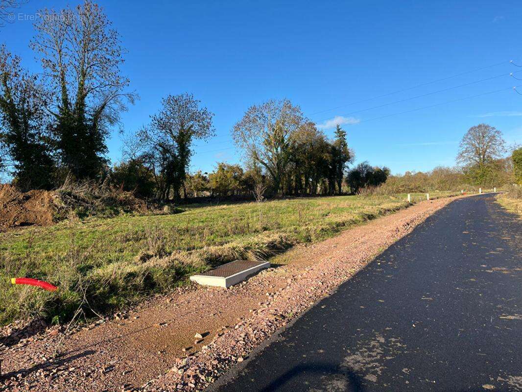 Terrain à NORON-L&#039;ABBAYE