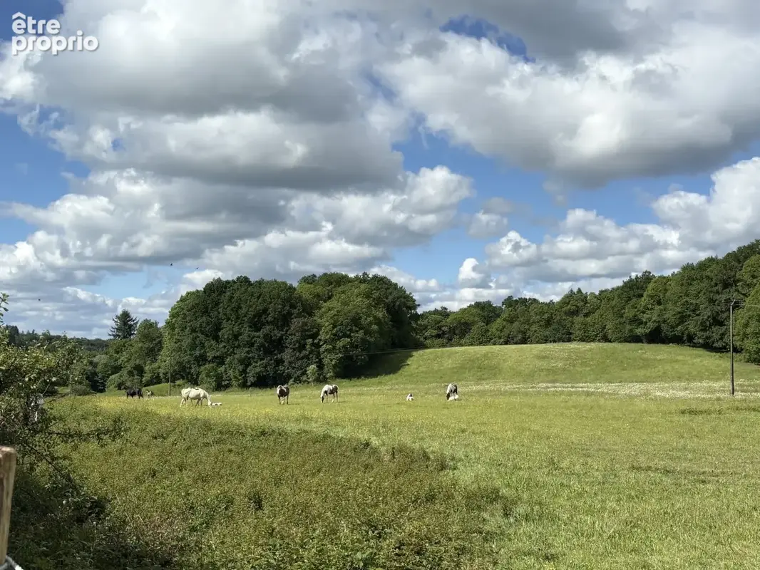 Coussac Bonneval, fermette de 4 pièces avec 6,5 hectares proche du village - photo 23