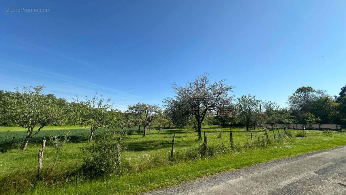 Terrain constructible 1218 m² - photo 4
