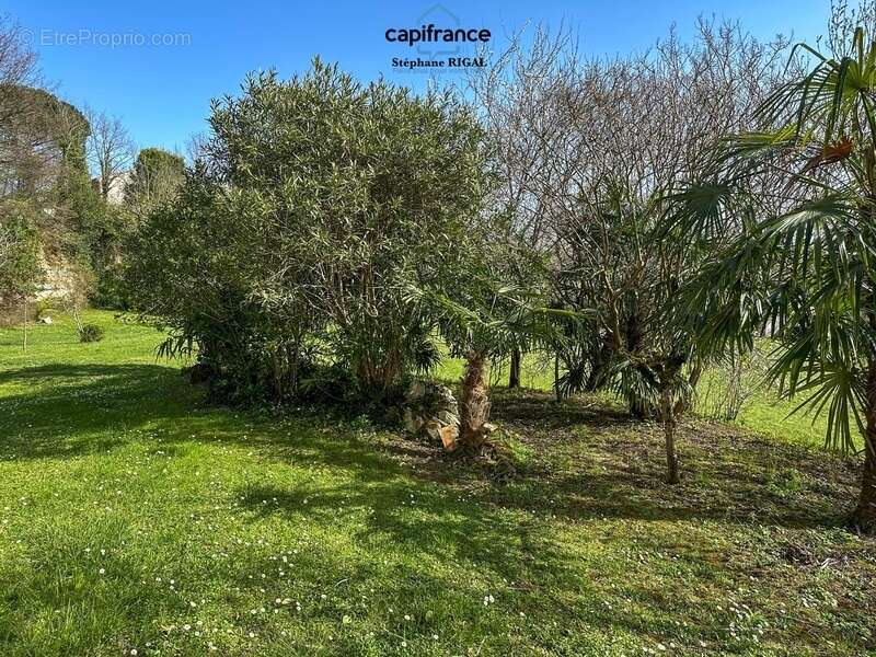 Dpt Lot et Garonne (47), à vendre VILLENEUVE SUR LOT propriete P5  sur 1,87 ha de terrain - photo 30