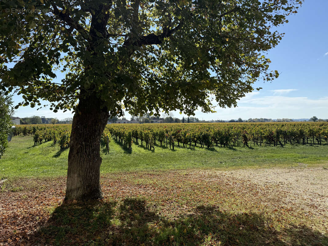 Maison à SAINT-EMILION