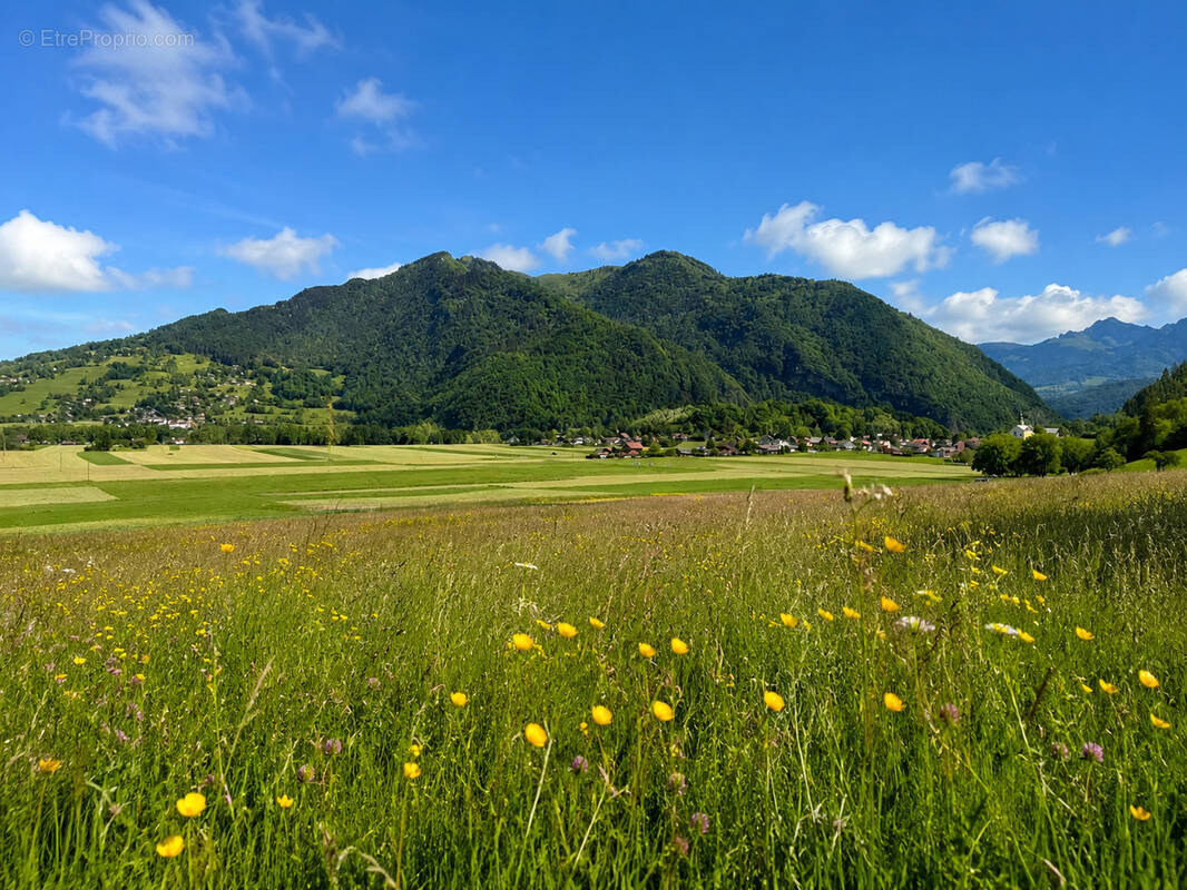 Terrain à LA TOUR