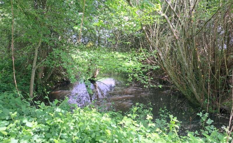 Maison à LE MENIL-GUYON