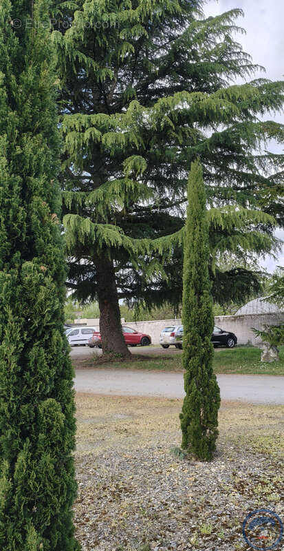 Appartement à SAINT-ROCH