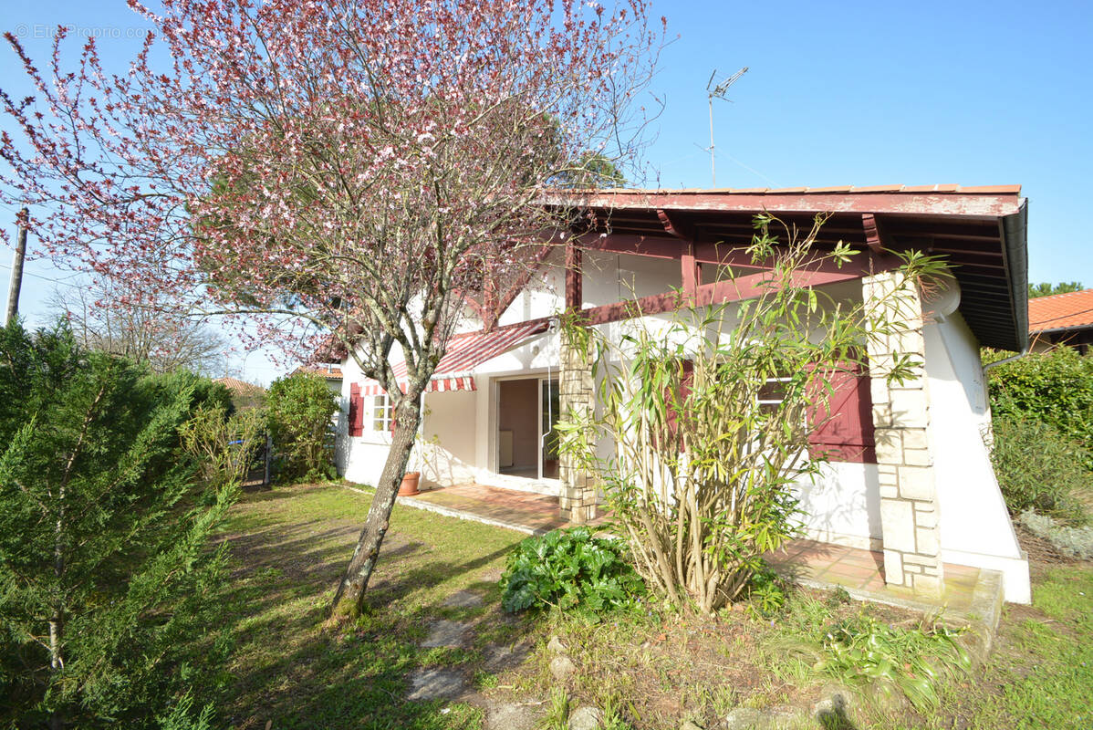 Maison à ARES