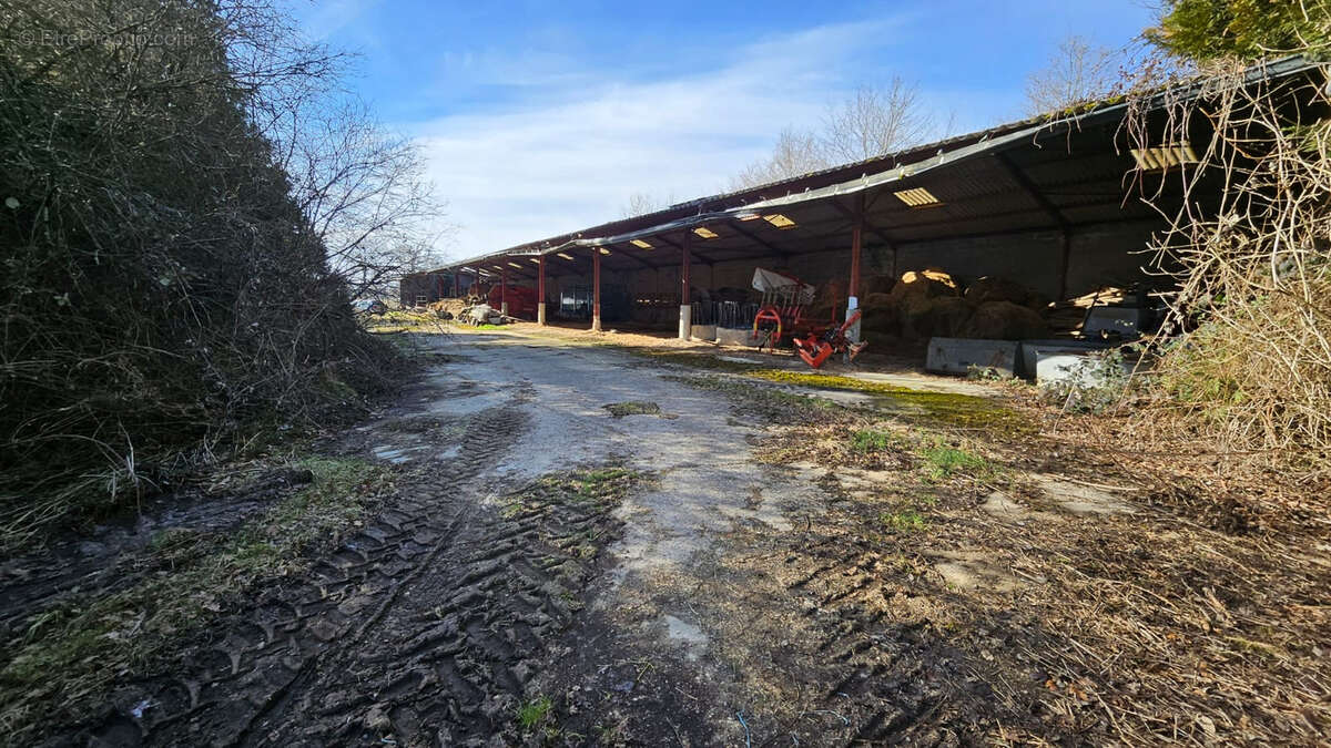 Commerce à LE CHALARD