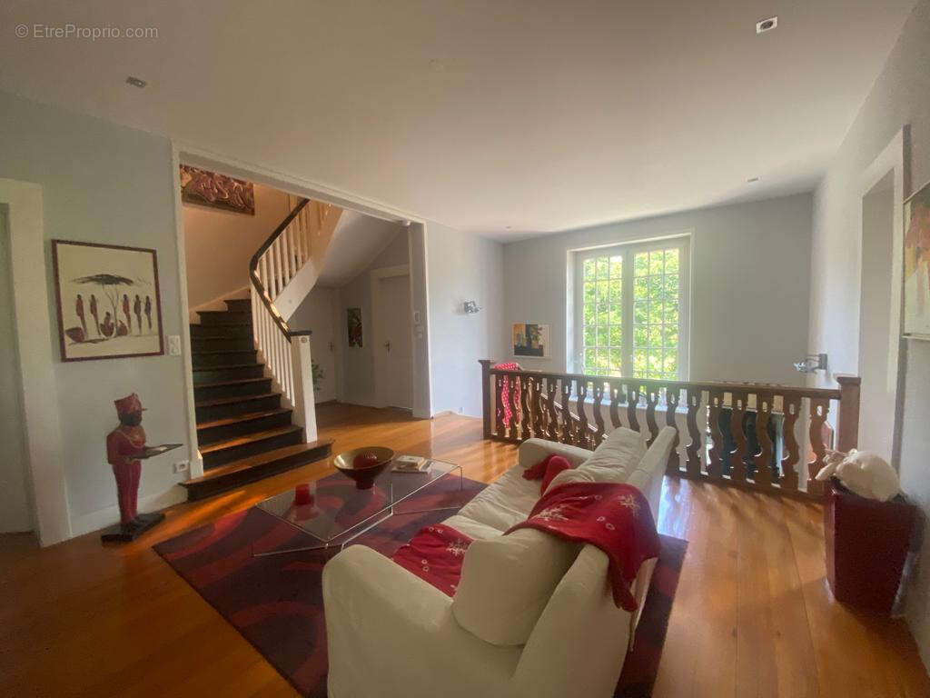 Mulhouse rebberg hauteurs - photo 12