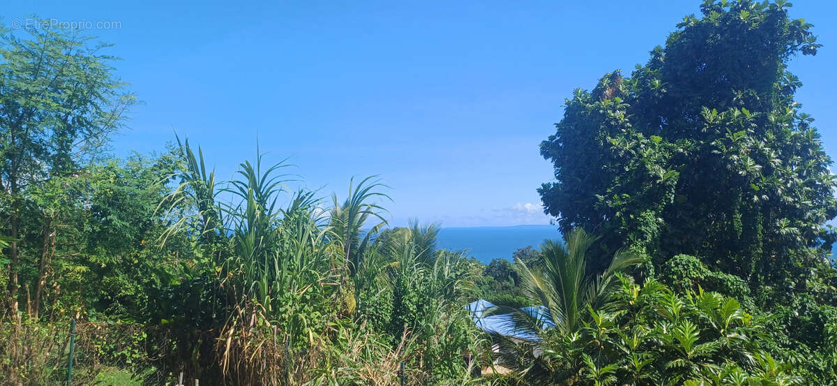 Maison à CAPESTERRE-BELLE-EAU