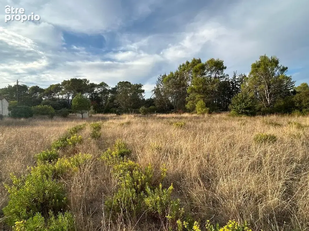 Terrain clos d'env. 4 400 m2 Cabanon en bois 2 puits - photo 4