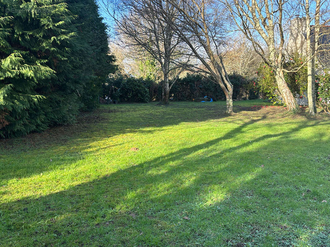 Terrain à MOELAN-SUR-MER