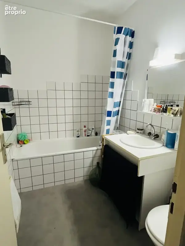 Maison de village avec jardin, local commercial - photo 12