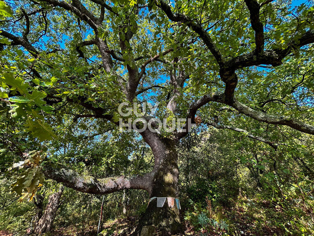 Maison à L&#039;ISLE-SUR-LA-SORGUE