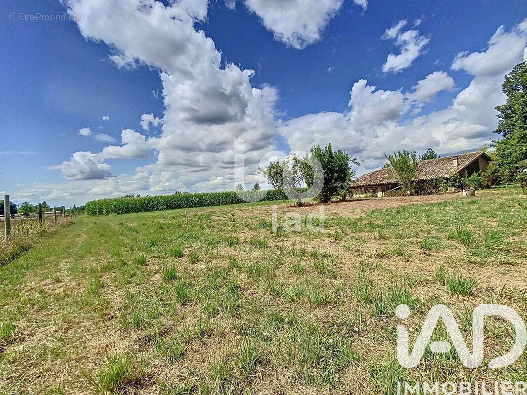 Photo 3 - Terrain à NEGREPELISSE