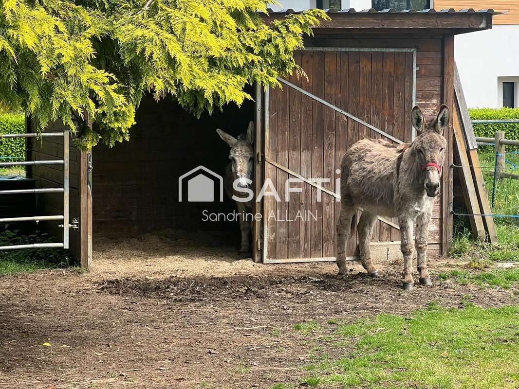 Photo 3 - Maison à PLERIN
