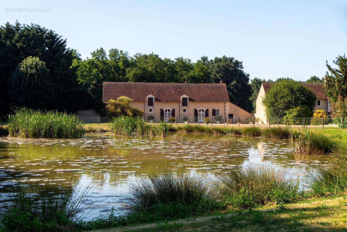 Propriété  à Vendre sur 36ha - photo 37