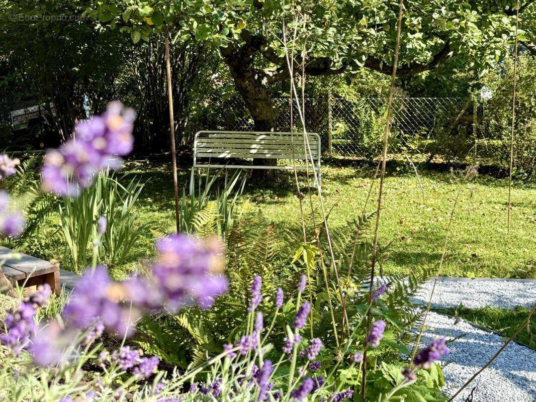 Maison à NIEDERBRONN-LES-BAINS