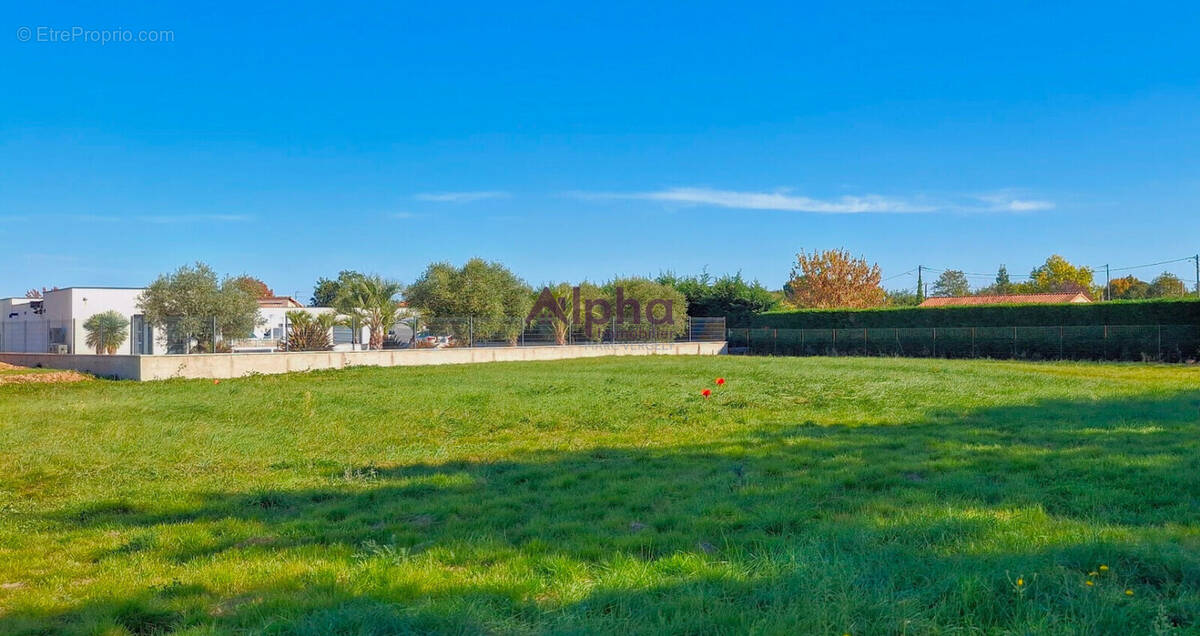 Terrain à MONTBARTIER