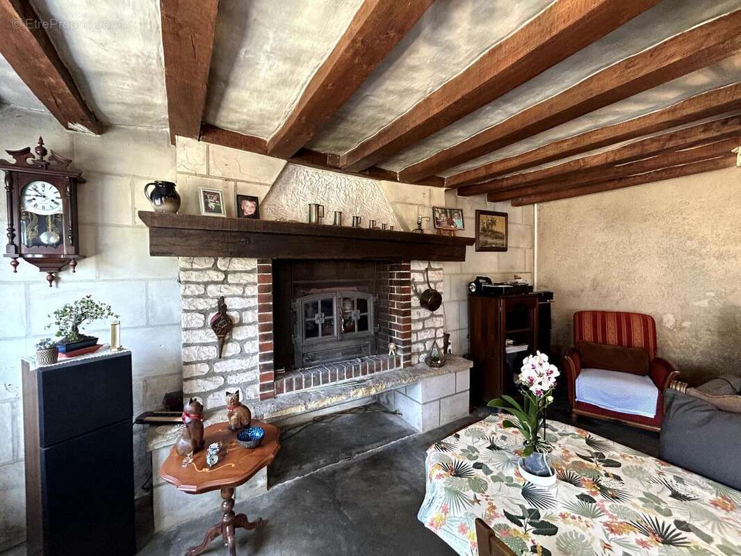 Photo 3 - Maison à CHOUZE-SUR-LOIRE