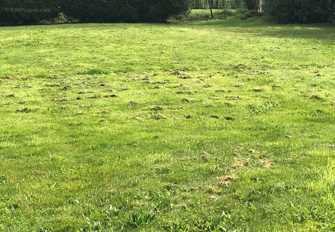 Terrain à TREILLIERES