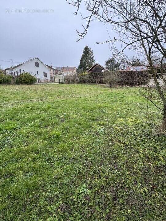 Terrain 981 m² à Mereville  - photo 58