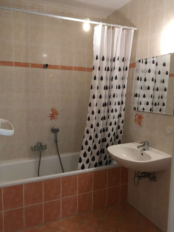Special investisseur - photo 8