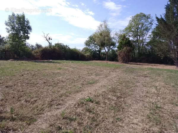 Terrain à CRUX-LA-VILLE