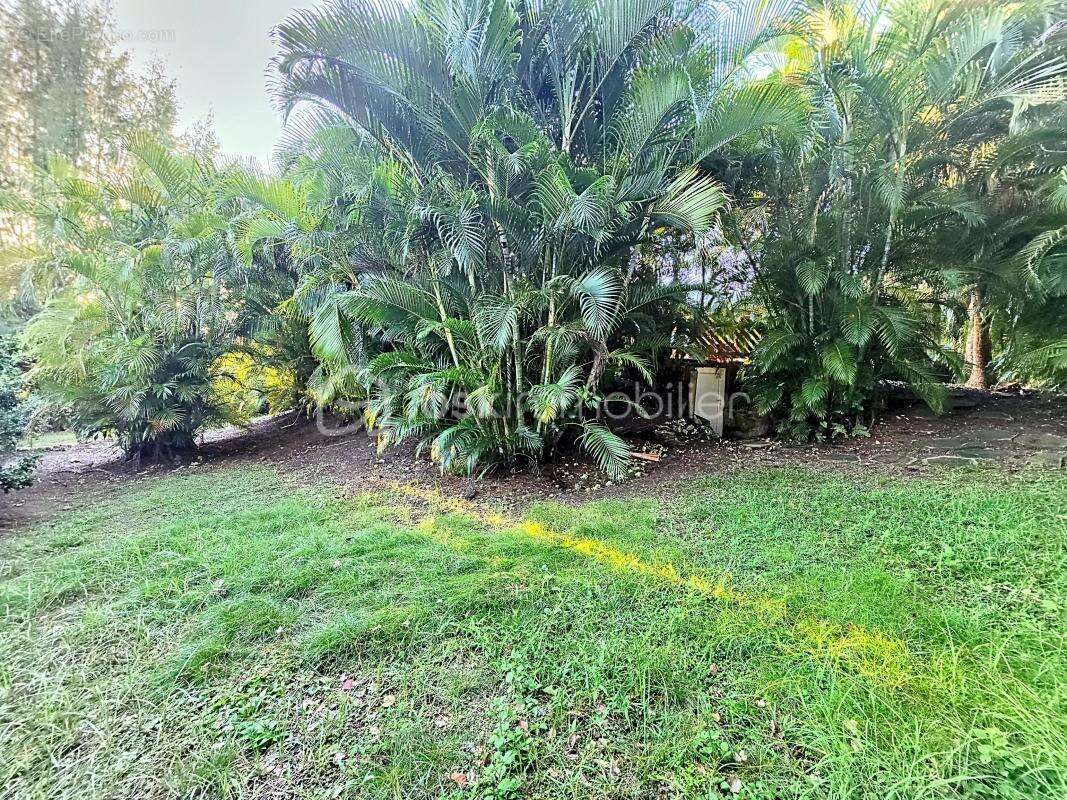 Maison à SAINT-FRANCOIS