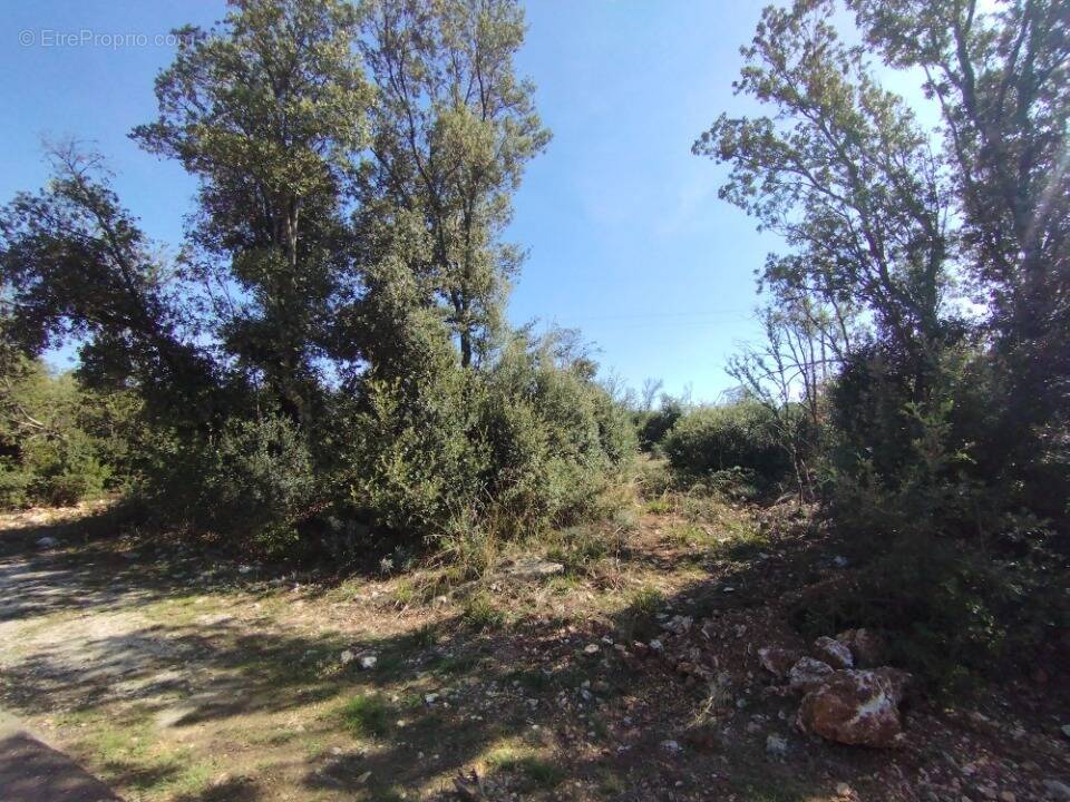 Terrain à ORGNAC-L'AVEN