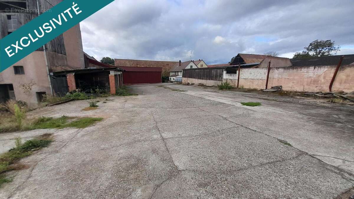 Photo 3 - Terrain à MITTELSCHAEFFOLSHEIM