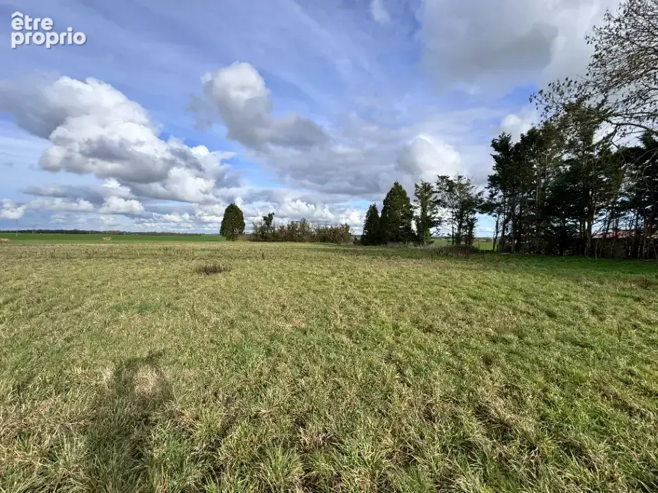 Terrain 1300 m² à Piseux  - photo 2