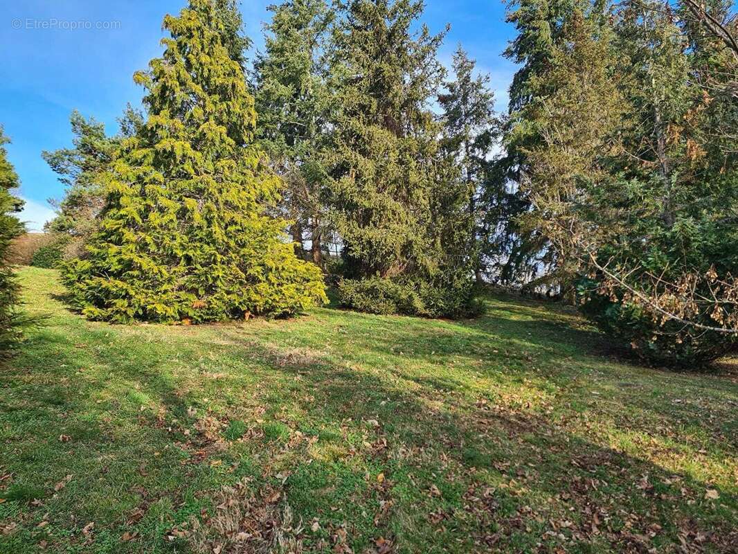 GRANGE sur TERRAIN 7543m² VUES magnifiques - photo 10