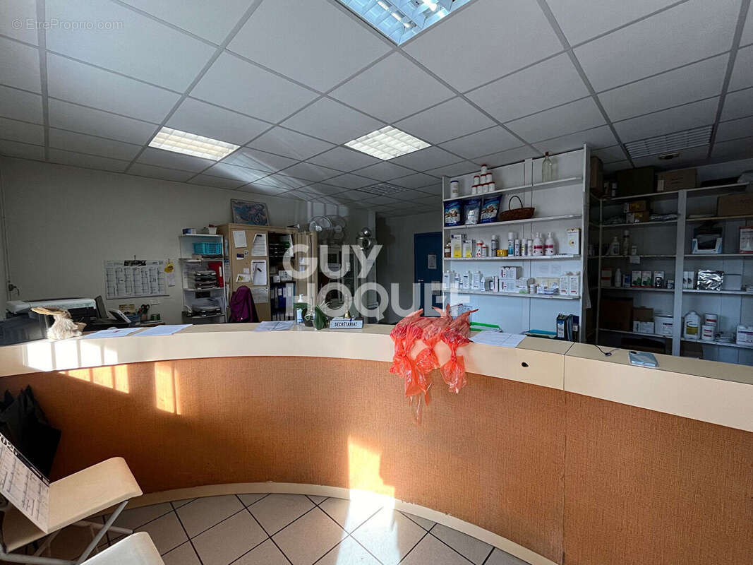 Commerce à SAINT-SEVER