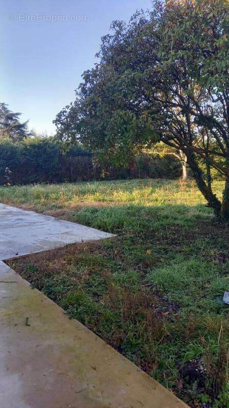 Maison à PONTONX-SUR-L'ADOUR