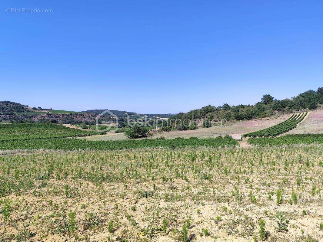 Terrain à LIMOUX