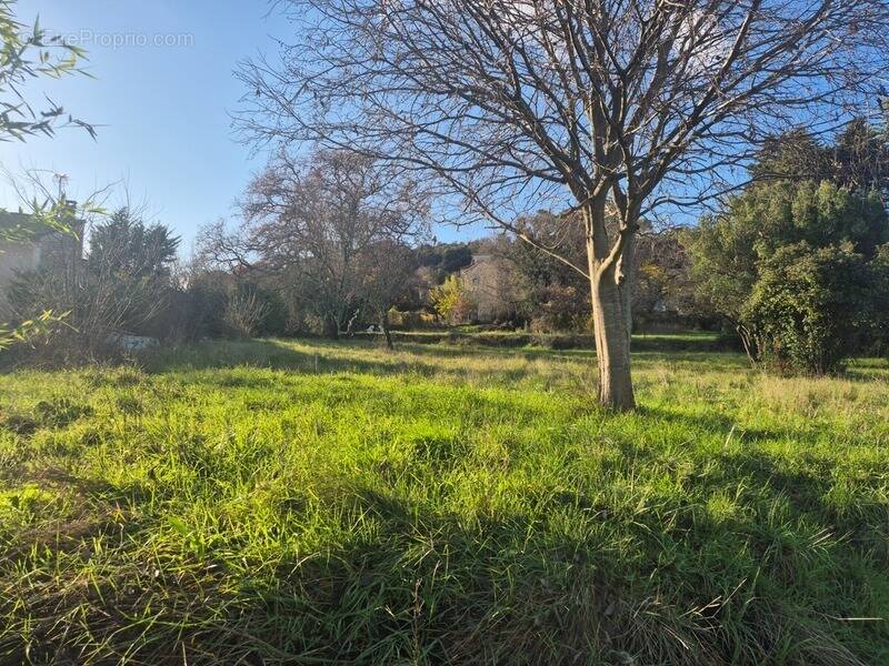 Terrain à CASSAGNOLES