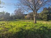 Terrain à CASSAGNOLES