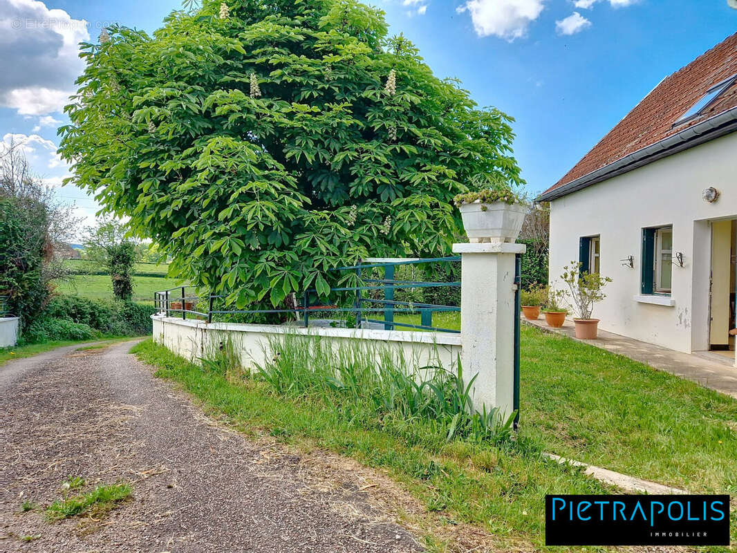 Maison à COLOMBIER-EN-BRIONNAIS