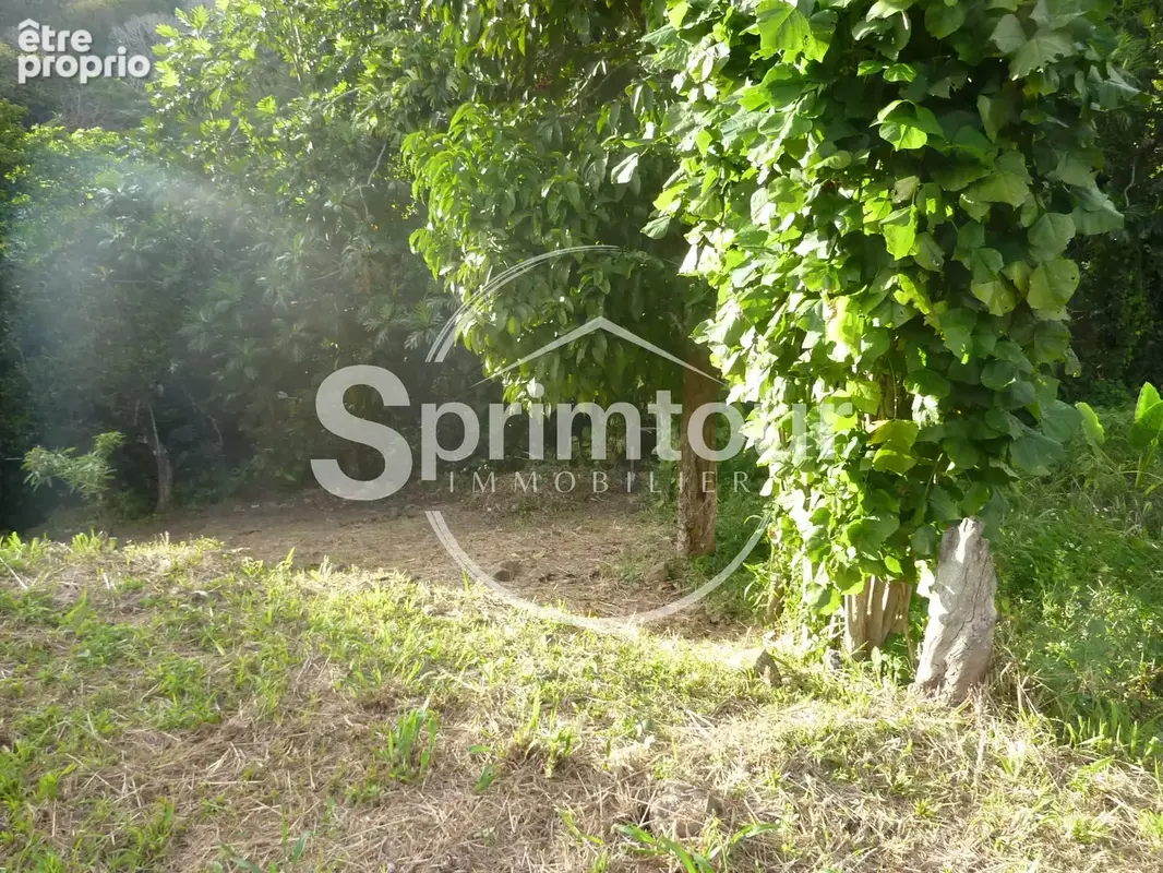 GOURBEYRE Terrain de 1200m2 - photo 7