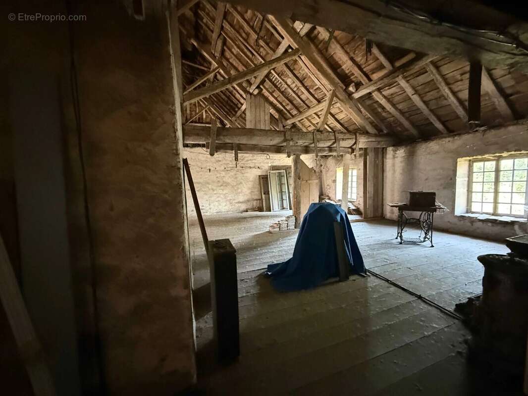Magnifique manoir original dans un grand village avec toutes les commodités, situé au bord de la Saône - photo 30