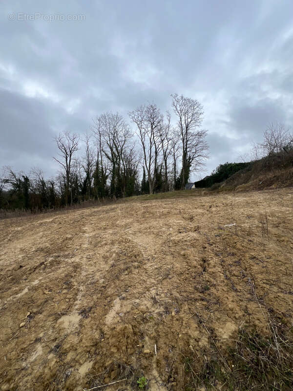 Terrain à BRUNSTATT