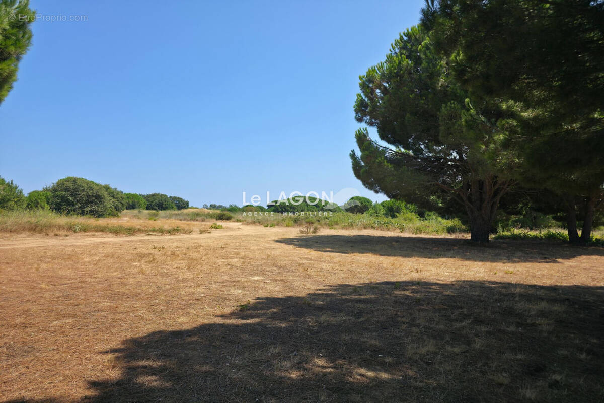Terrain à LATOUR-BAS-ELNE