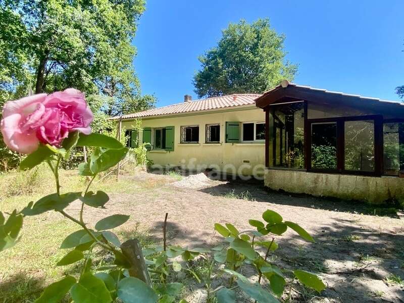 LE PIAN-MÉDOC(33) – Charme, calme et nature pour cette maison de T4 de 99 m2 nichée sur une parcelle de 1312 m2 dans un cadre ve - photo 14